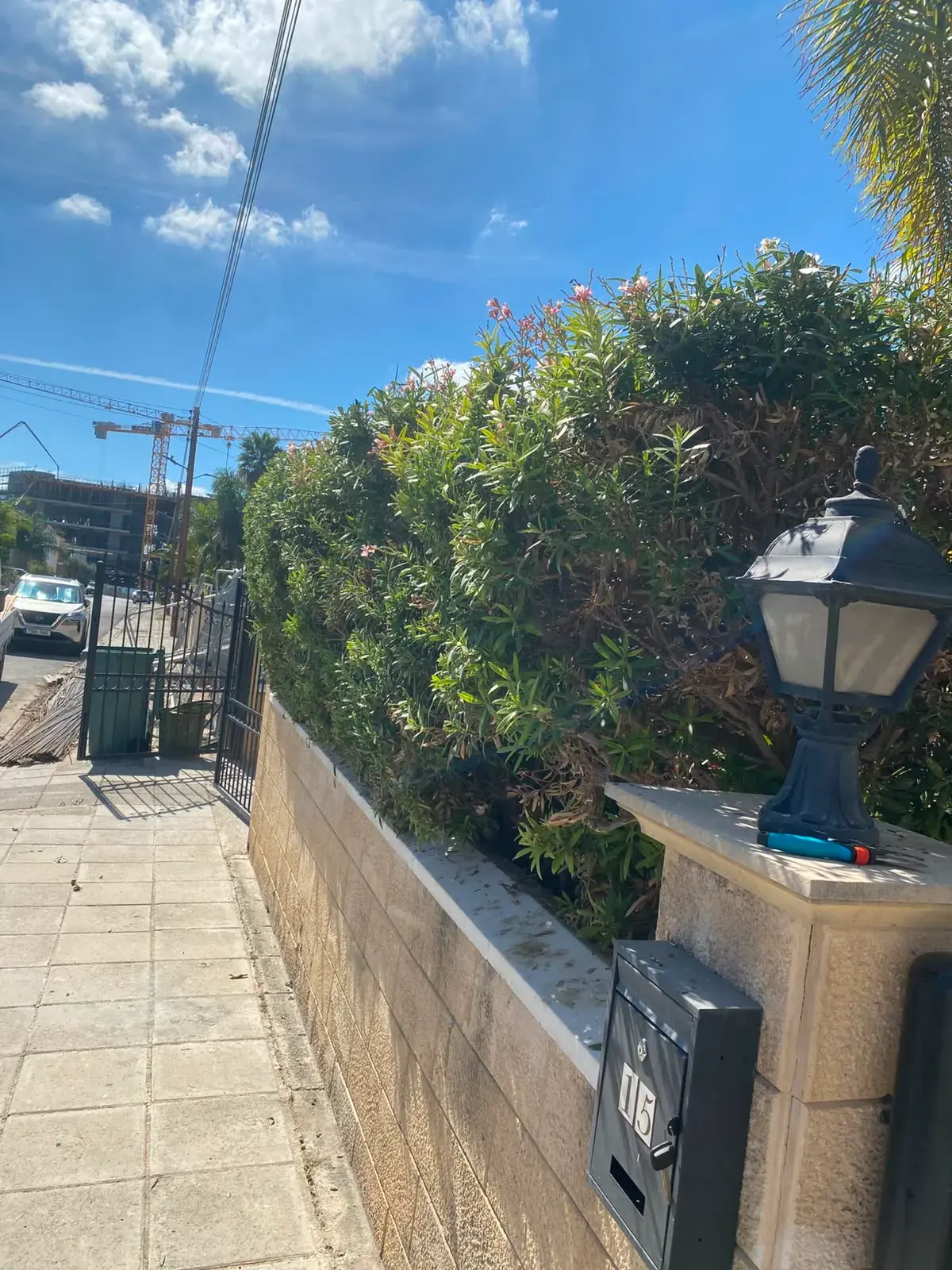 Entrance hedge, After
