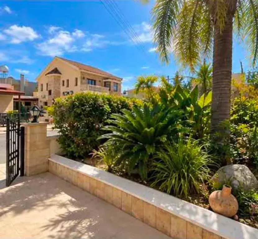 Planted garden bed with palm and cycads beside a stone wall in Limassol after maintenance
